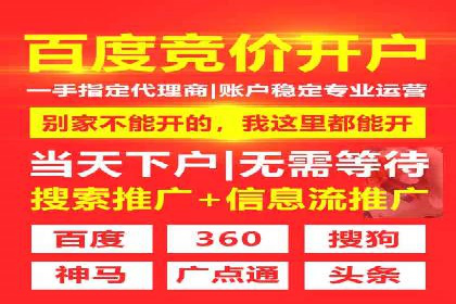 行业领先企业的关键词竞价排名实战案例